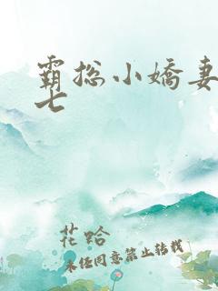 霸总小娇妻姜十七