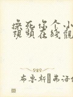 操死你个小骚货视频在线观看