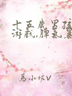 十五岁男孩沉迷游戏,脾气暴躁,叛逆不想上学