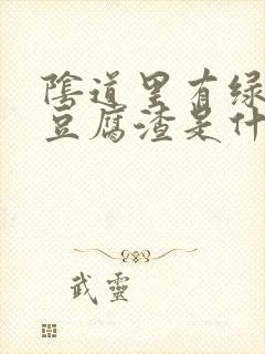 阴道里有绿色的豆腐渣是什么症状