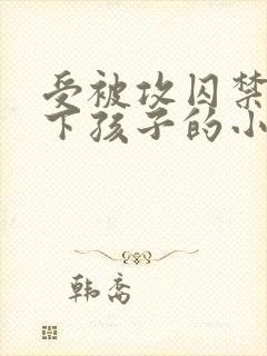 受被攻囚禁并生下孩子的小说