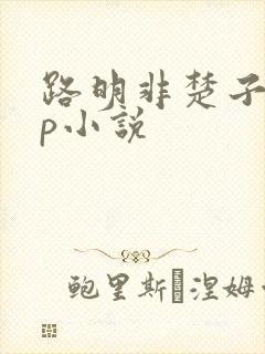 路明非楚子航cp小说