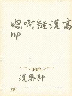 嗯啊糙汉高干文np