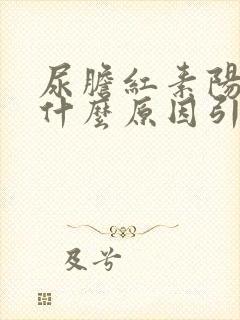 尿胆红素阳性是什么原因引起的