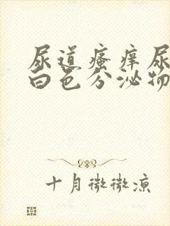 尿道瘙痒尿道口白色分泌物