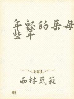 年轻的岳母的那些年