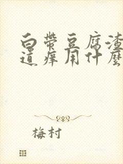 白带豆腐渣状阴道痒用什么药