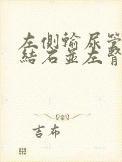 左侧输尿管下段结石并左肾轻度积液