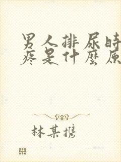 男人排尿时有点疼是什么原因