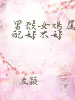 男猴女鸡属相婚配好不好