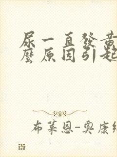 尿一直发黄是什么原因引起的