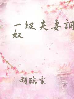 一级夫妻调教男奴