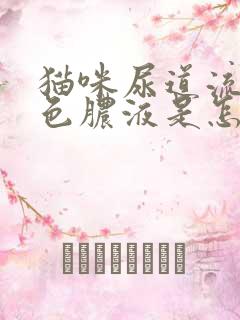 猫咪尿道流出黄色脓液是怎么回事