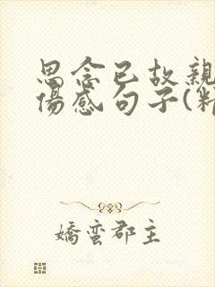 思念已故亲人的伤感句子(精选75句)