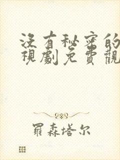 没有秘密的你电视剧免费观看全集