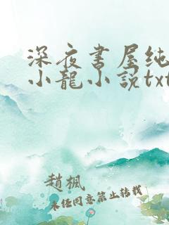 深夜书屋纯洁滴小龙小说txt下载
