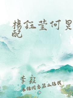 杨钰莹何炅天仙配