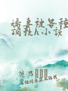 娇妻被各种刑具调教h小说