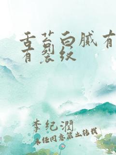 舌苔白腻有齿痕有裂纹