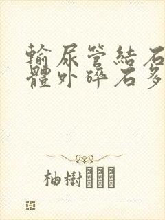 输尿管结石激光体外碎石多少钱