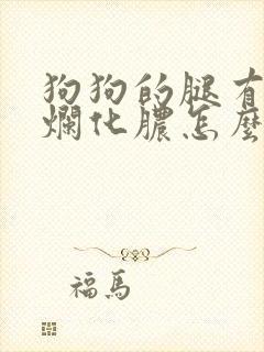 狗狗的腿有点溃烂化脓怎么办