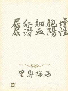 尿红细胞增高,尿潜血阳性是什么意思