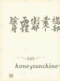 脸两侧黄褐斑是身体哪个部位有问题