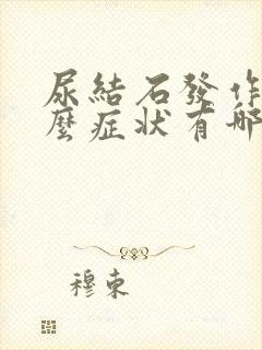 尿结石发作有什么症状有哪些