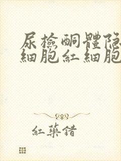 尿检酮体隐血白细胞红细胞高