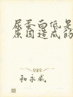 尿蛋白低是什么原因造成的呀