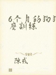 6个月的狗狗怎么训练