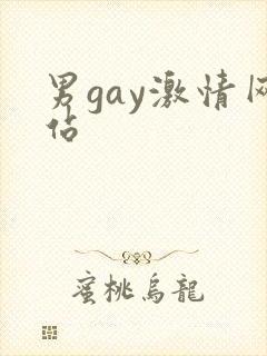 男gay激情网站