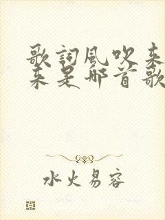 歌词风吹来浪打来是哪首歌