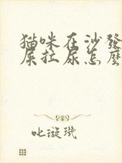 猫咪在沙发上拉屎拉尿怎么办