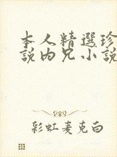 本人精选珍藏小说内兄小说免费阅读
