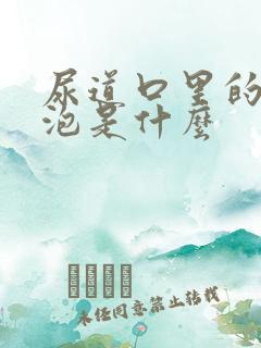 尿道口里的小水泡是什么