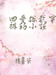 四爱总裁穿纸尿裤的小说