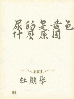 尿的是黄色的是什么原因