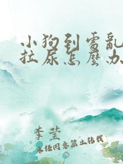 小狗到处乱拉屎拉尿怎么办