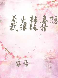 惹火辣妻隐婚总裁很纯情