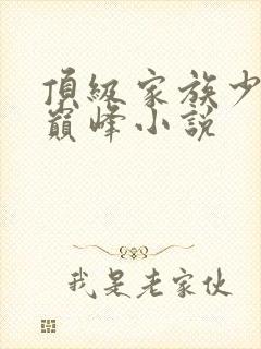 顶级家族少爷的巅峰小说