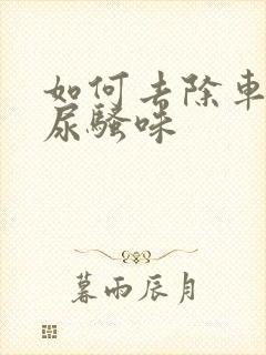 如何去除车内猫尿骚味