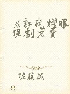 《许我耀眼》电视剧免费