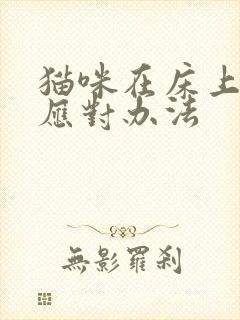 猫咪在床上尿的应对办法