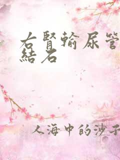 右肾输尿管下段结石