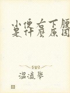 小便右下腹疼痛是什么原因