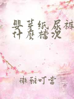 婴芽纸尿裤属于什么档次