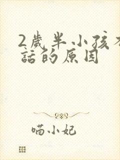 2岁半小孩不说话的原因