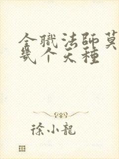 全职法师莫凡有几个天种