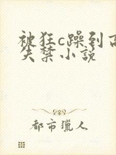 被狂c躁到高潮失禁小说